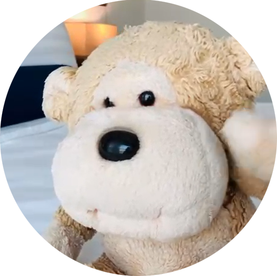 wpChatIcon